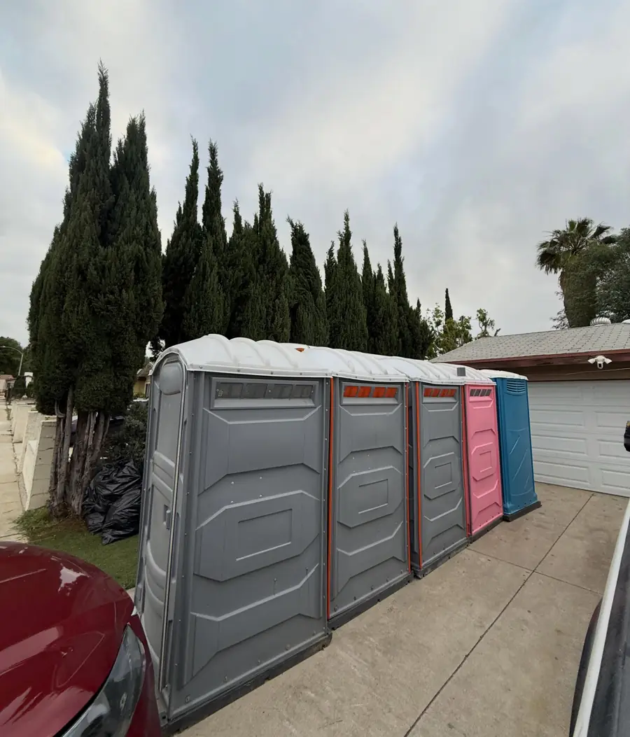 Row of gray and pink portable toilets along a residential driveway