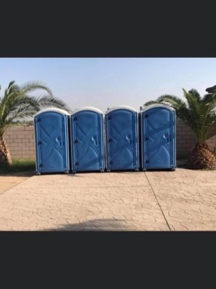 Four blue porta potties lined up on concrete between palm trees